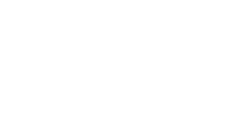 Swift Globe Logistics Logo